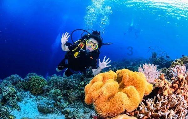 西安工业经济学校是民办职高吗？